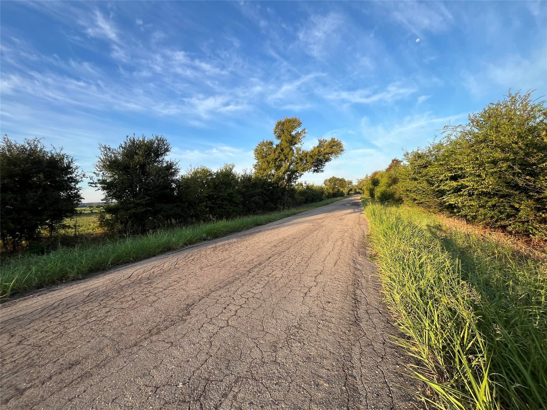 1,003.31 acres in Limestone County - photo 6