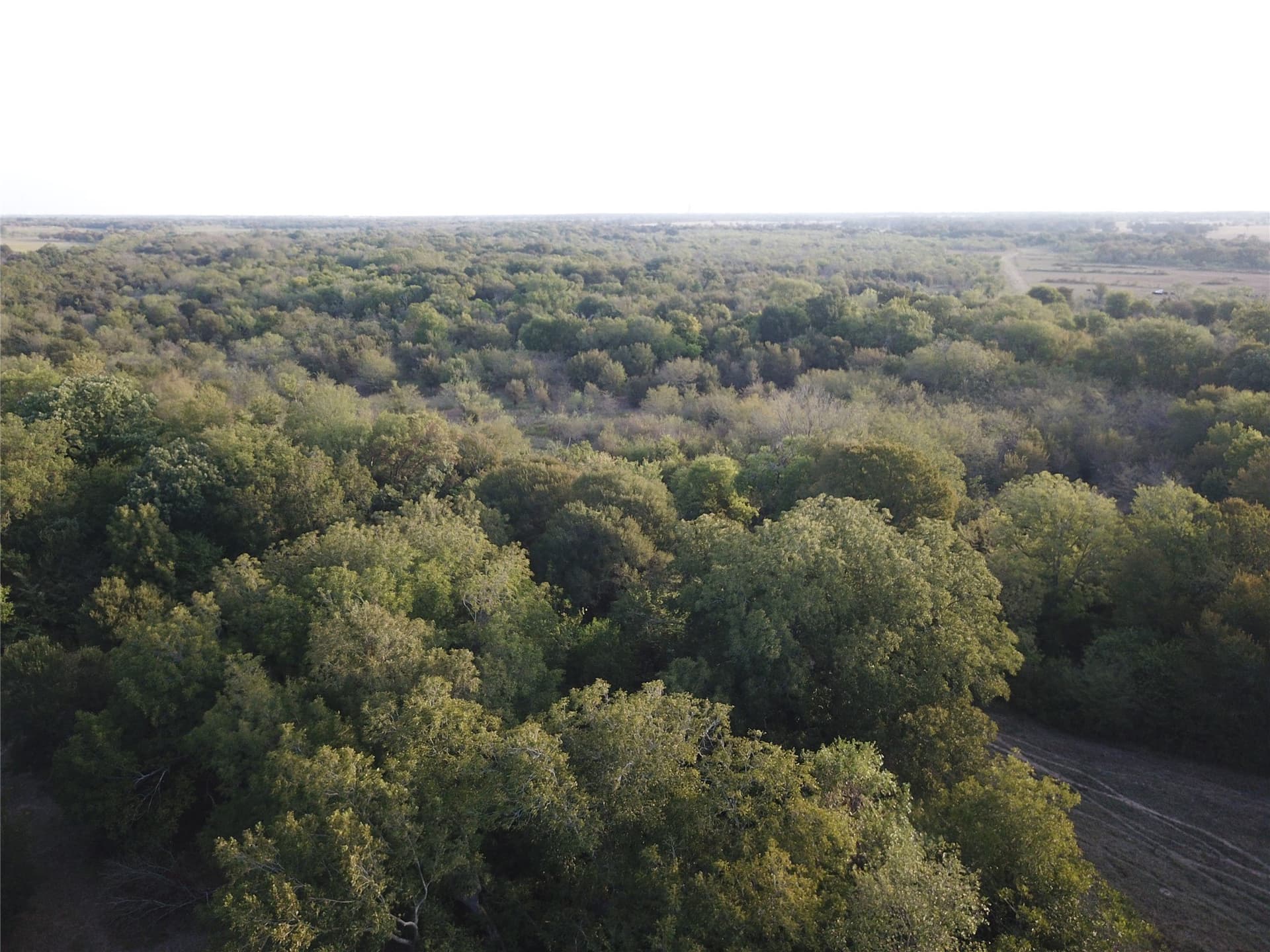 1,003.31 acres in Limestone County - photo 30