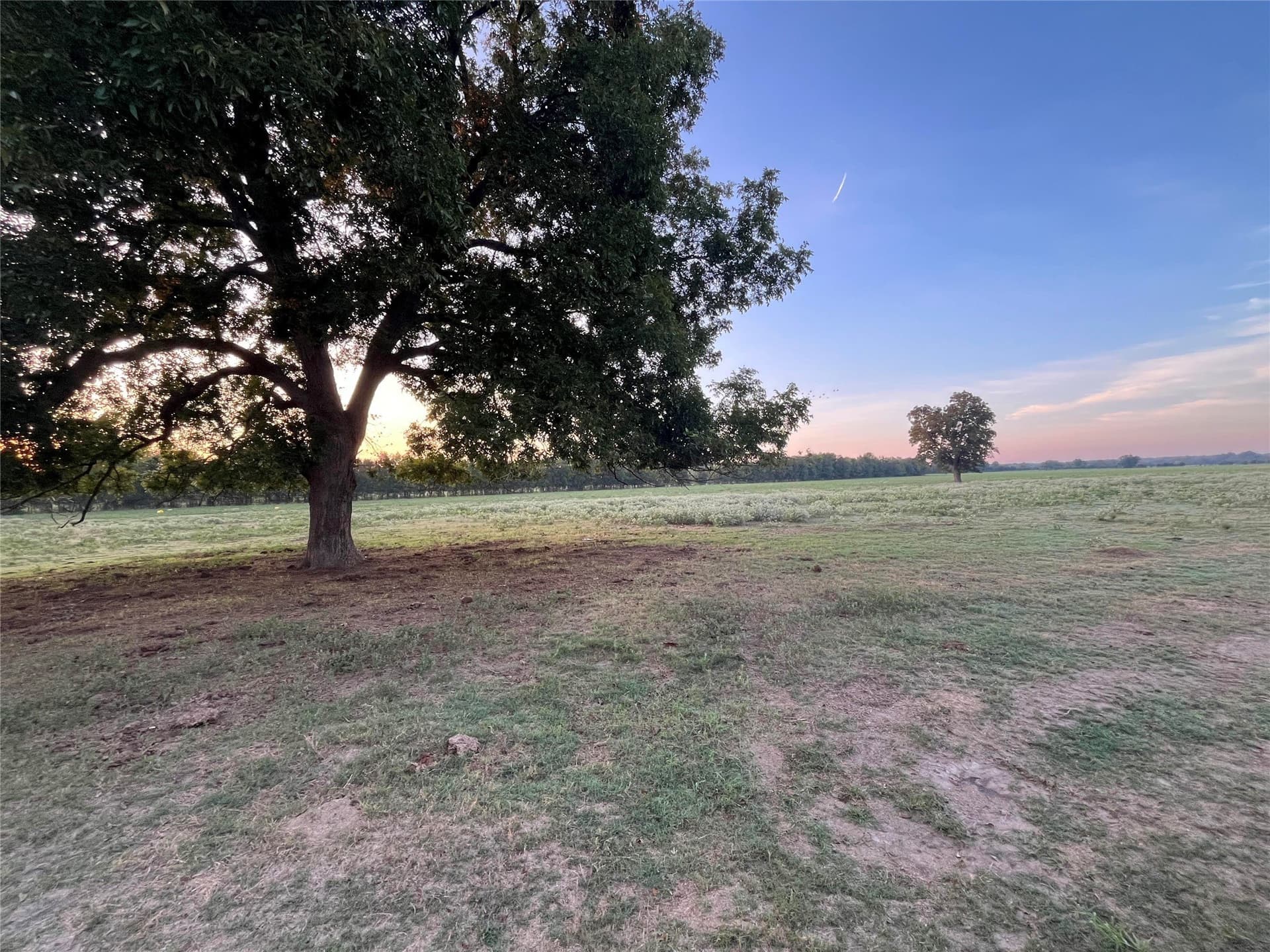 1,003.31 acres in Limestone County - photo 8
