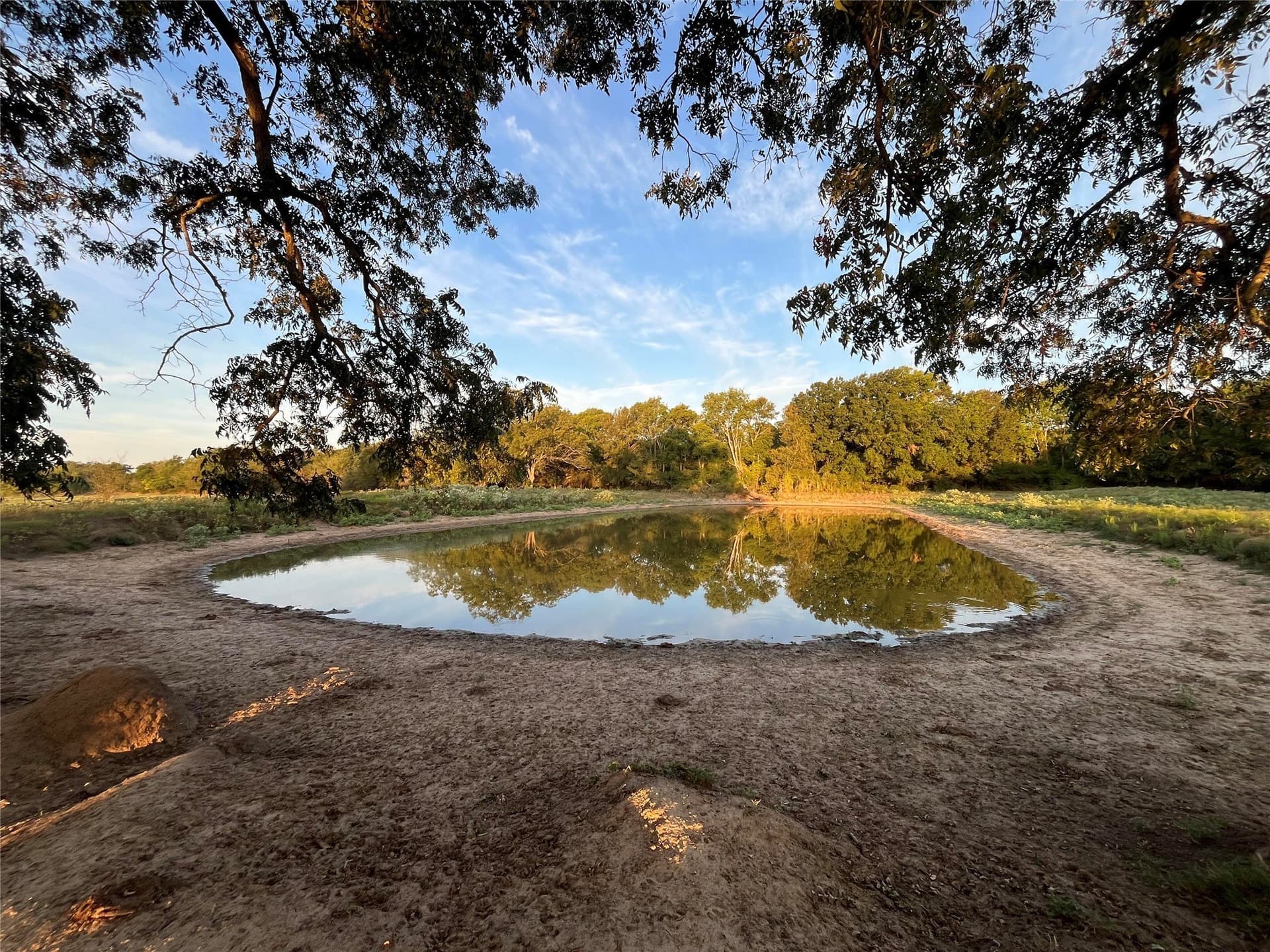 1,003.31 acres in Limestone County - photo 19