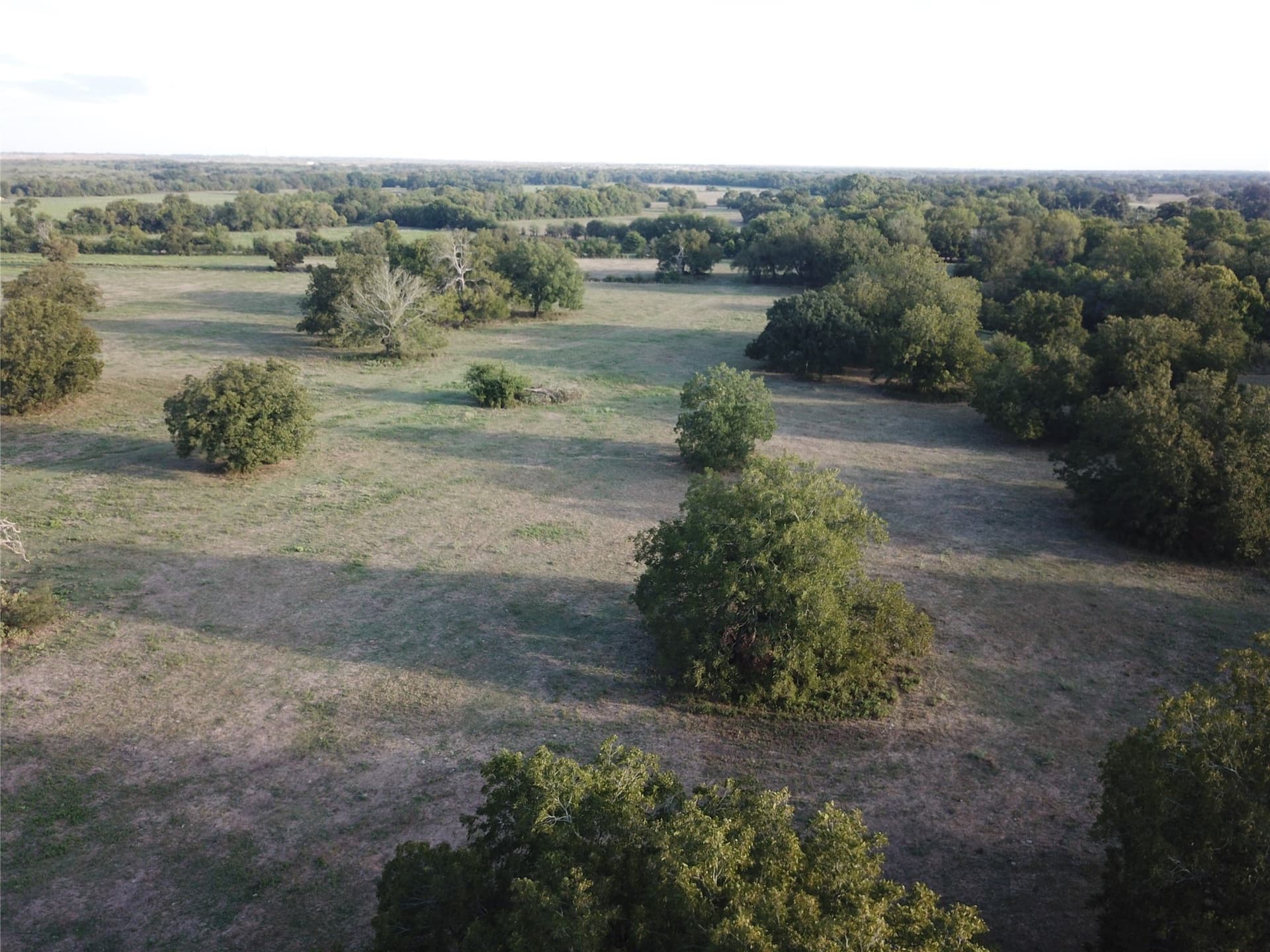 1,003.31 acres in Limestone County - photo 16