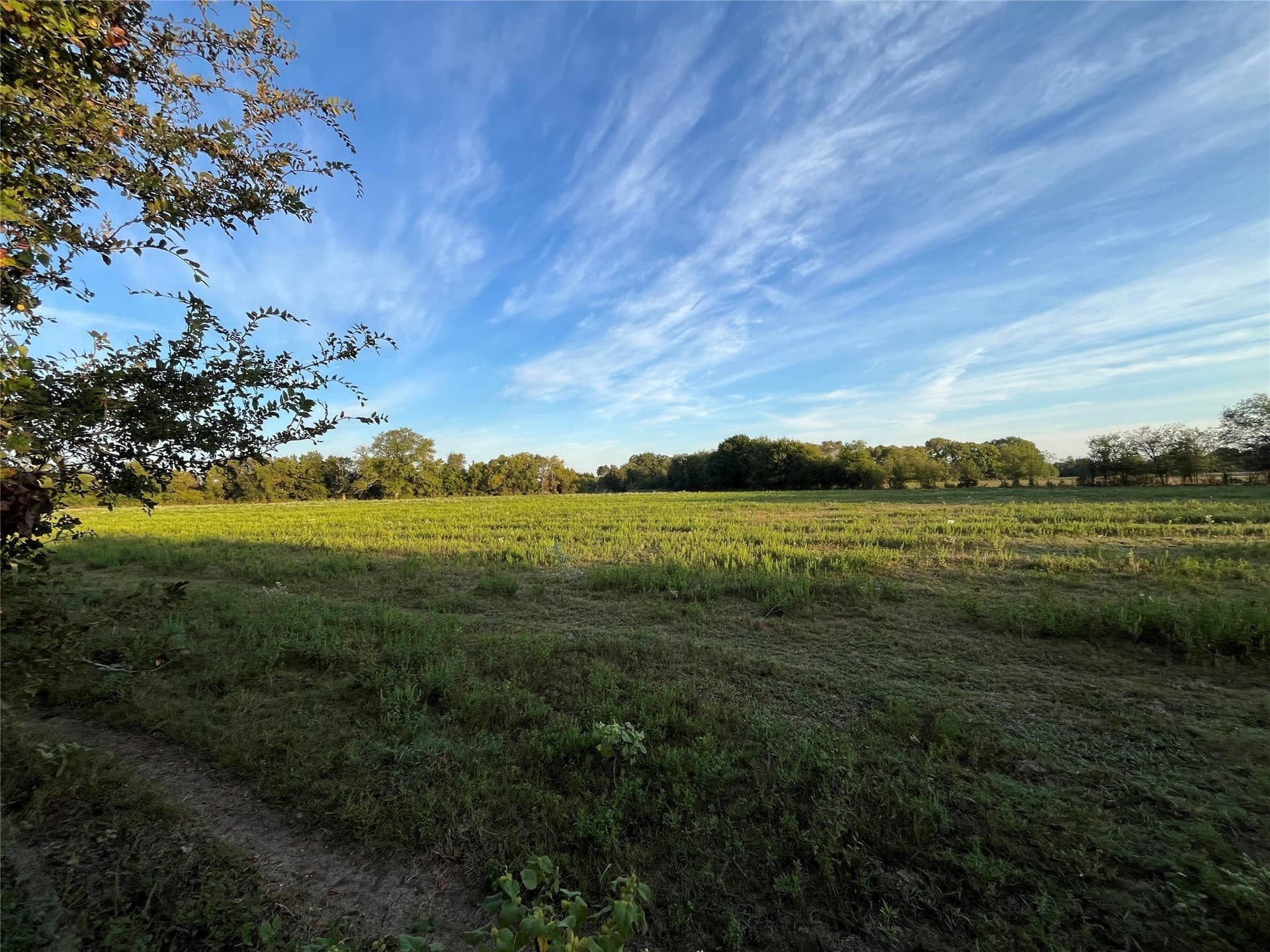 1,003.31 acres in Limestone County - photo 21