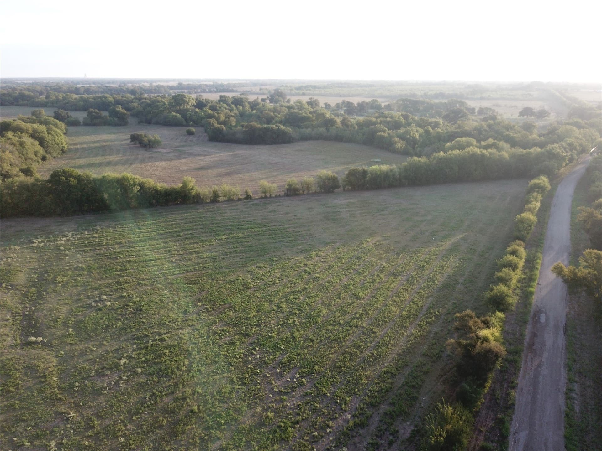 1,003.31 acres in Limestone County - photo 31