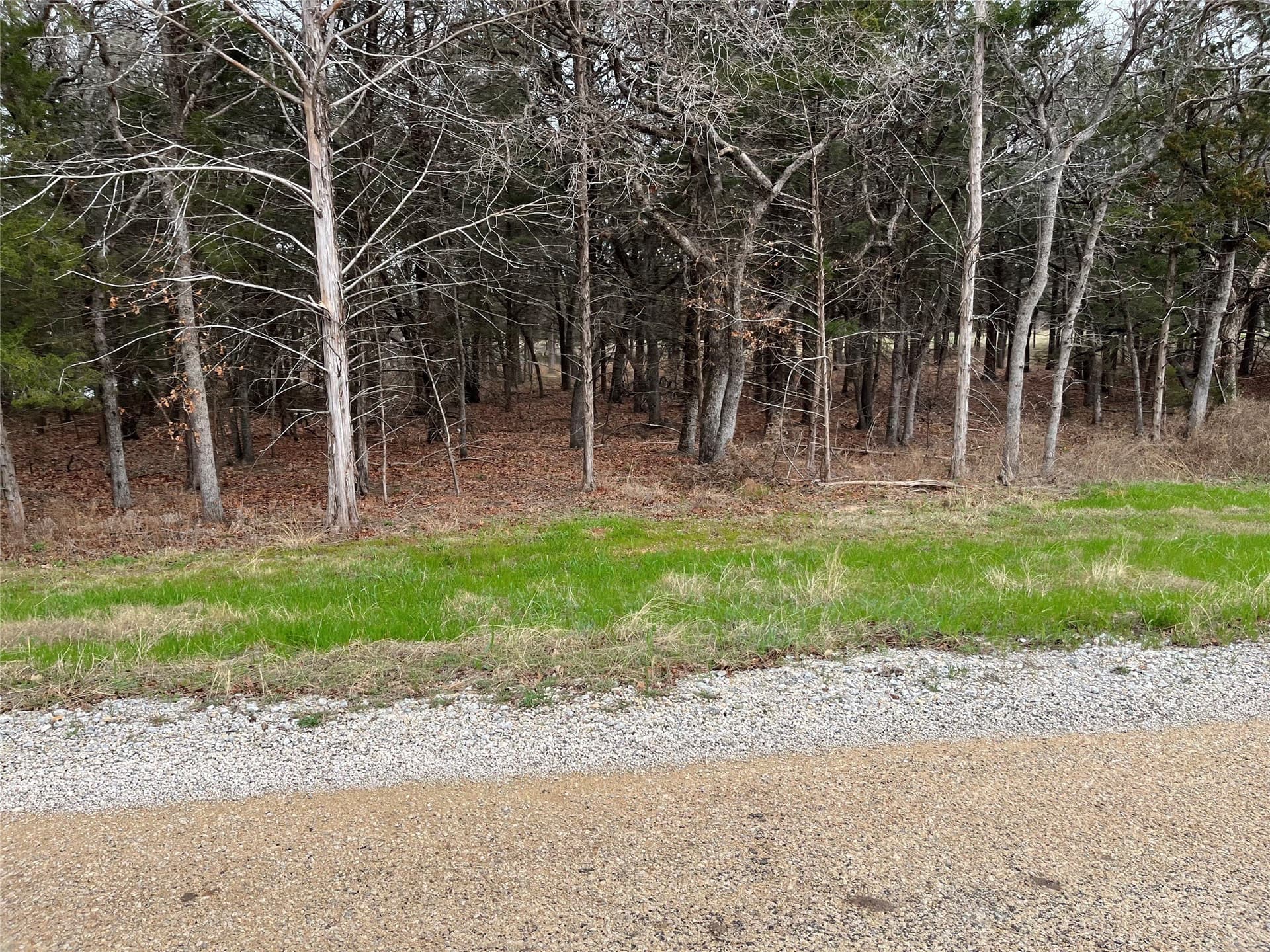 4 acres in Wise County gallery image 4