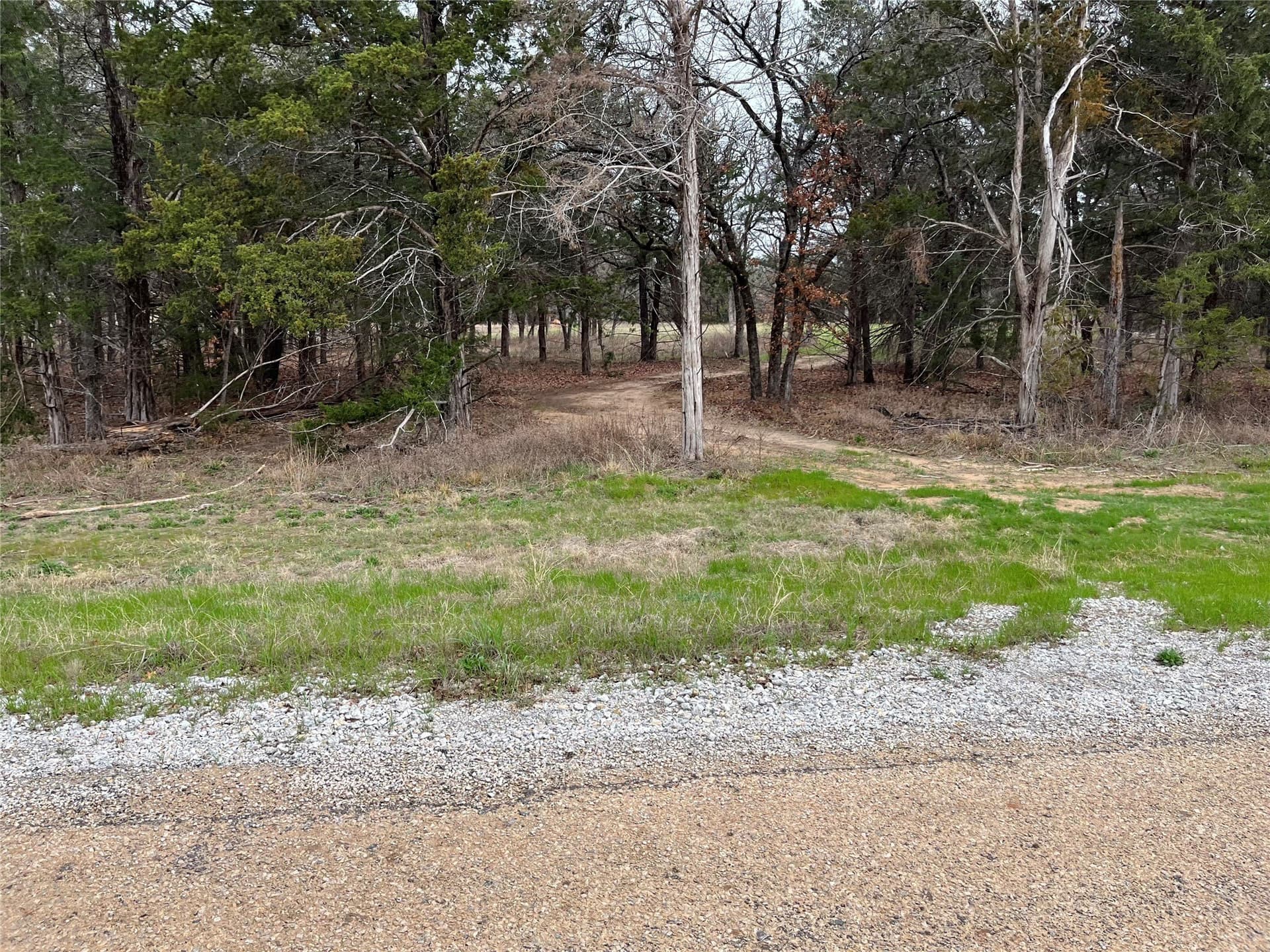 4 acres in Wise County featured view