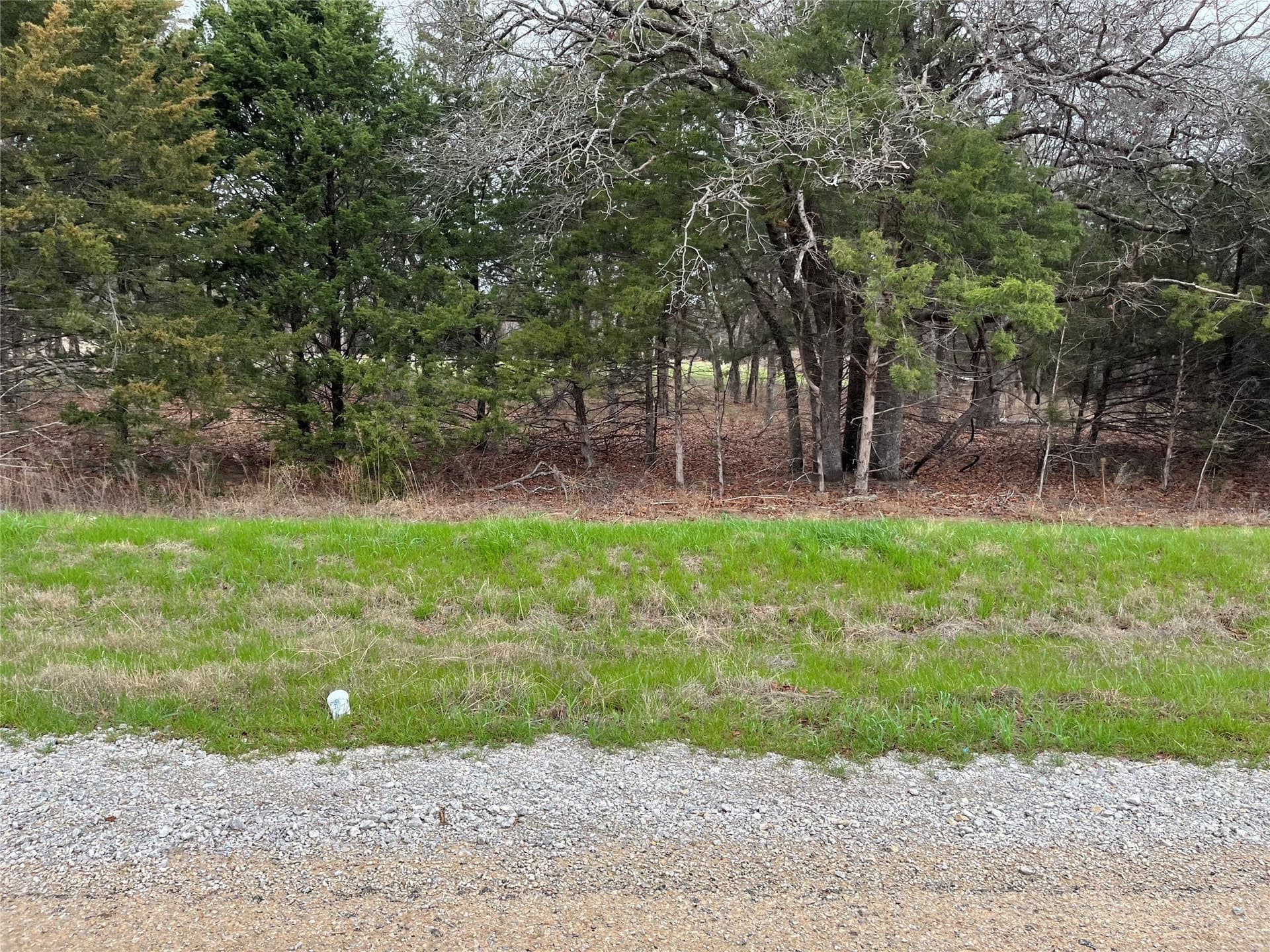 4 acres in Wise County - photo 7