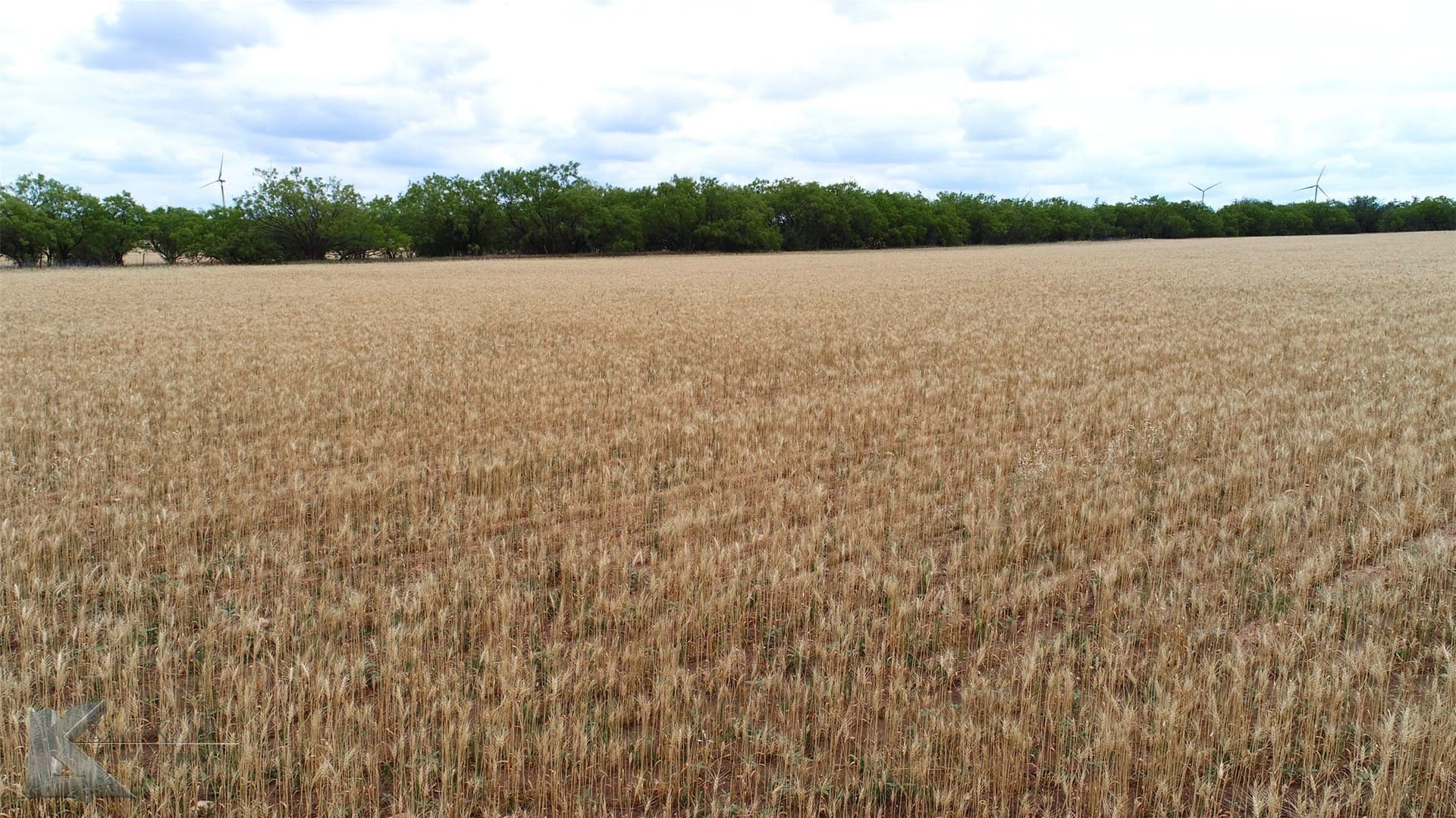 34 acres in Shackelford County - photo 16