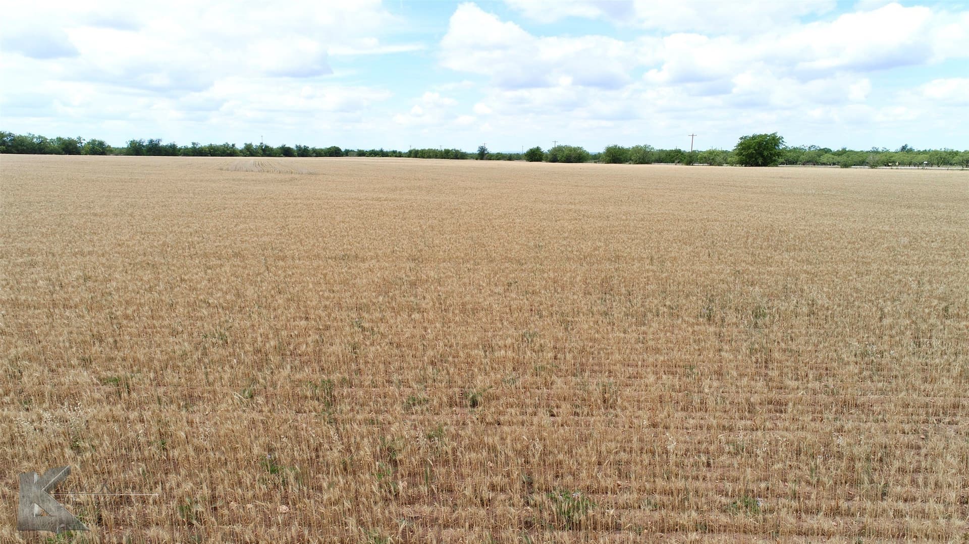 34 acres in Shackelford County - photo 17