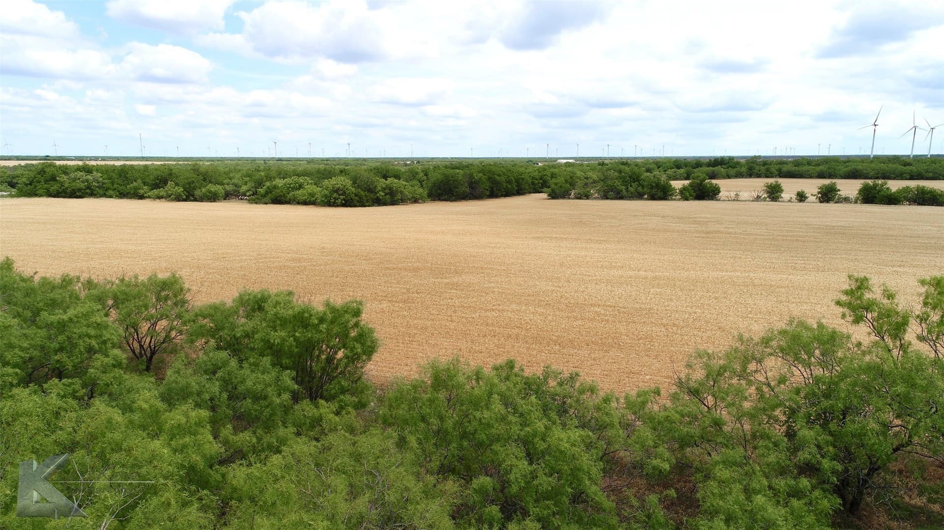 34 acres in Shackelford County - photo 18