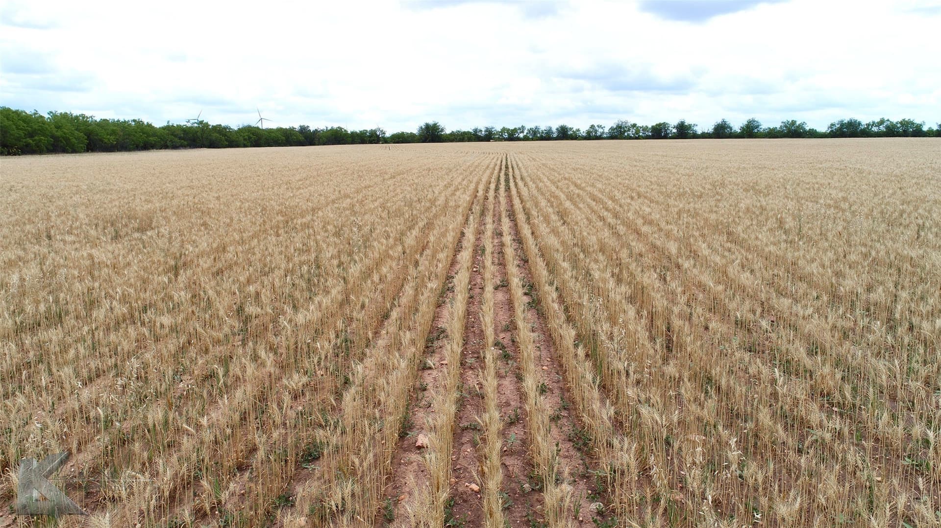 34 acres in Shackelford County - photo 15
