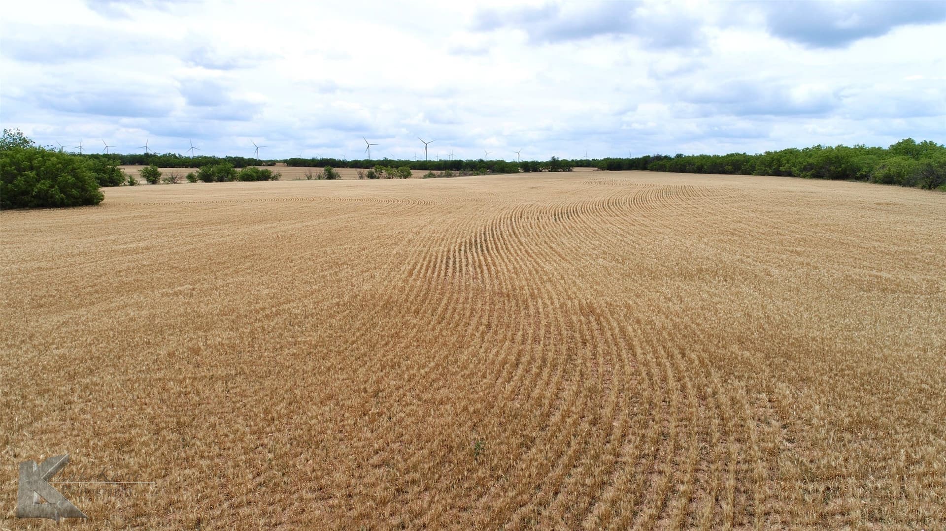 34 acres in Shackelford County - photo 19