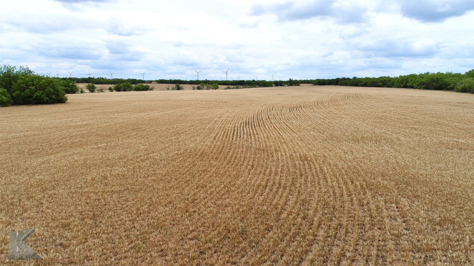 34 acres in Shackelford County - photo 20
