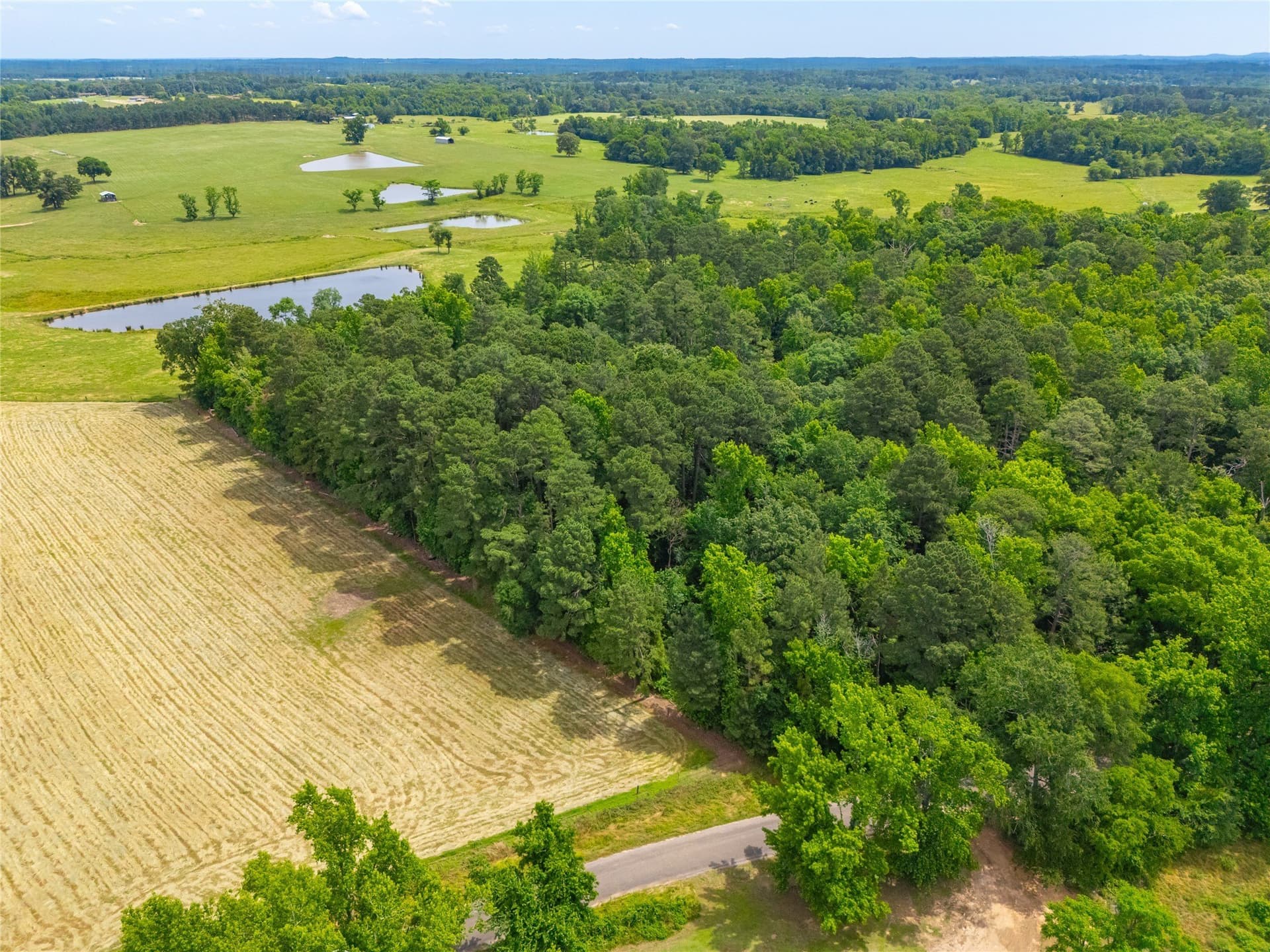 21 acres in Morris County - photo 6