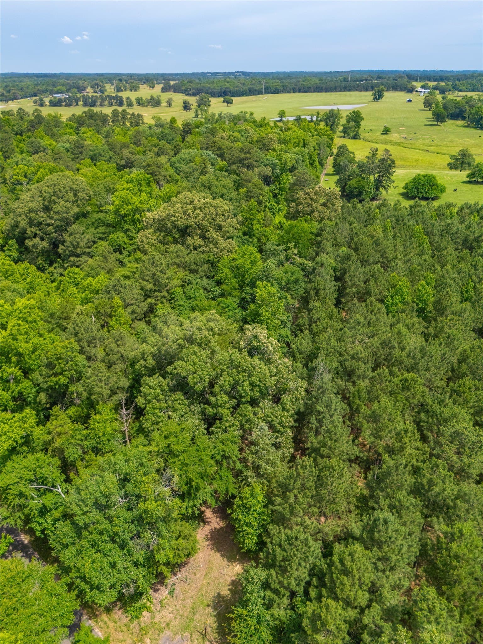 21 acres in Morris County gallery image 3