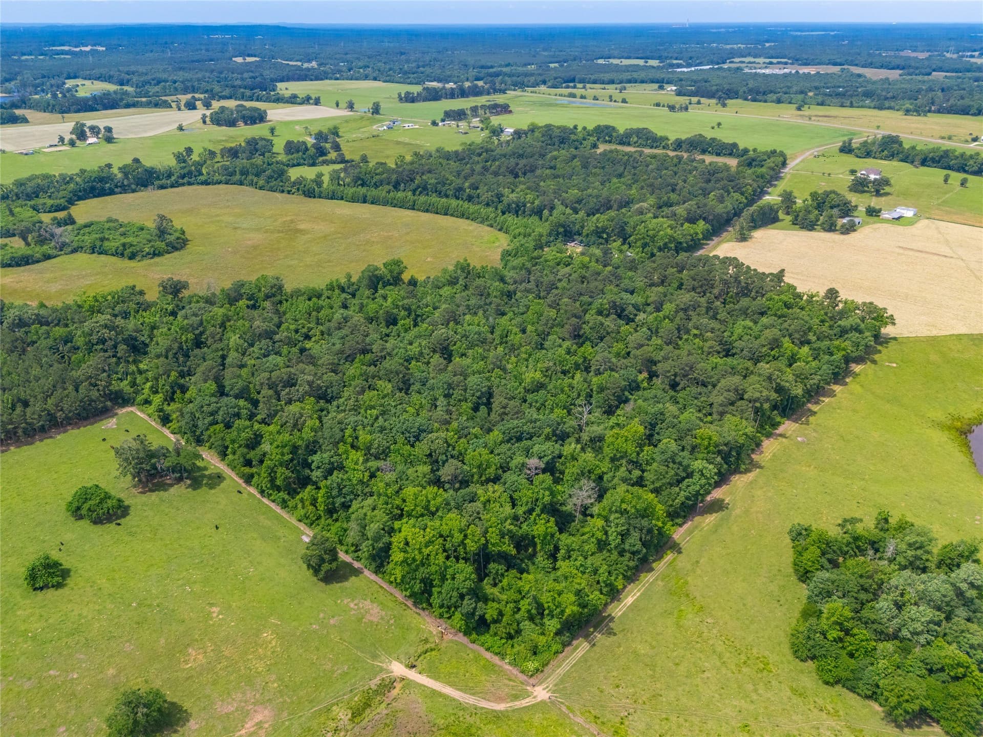 21 acres in Morris County gallery image 4