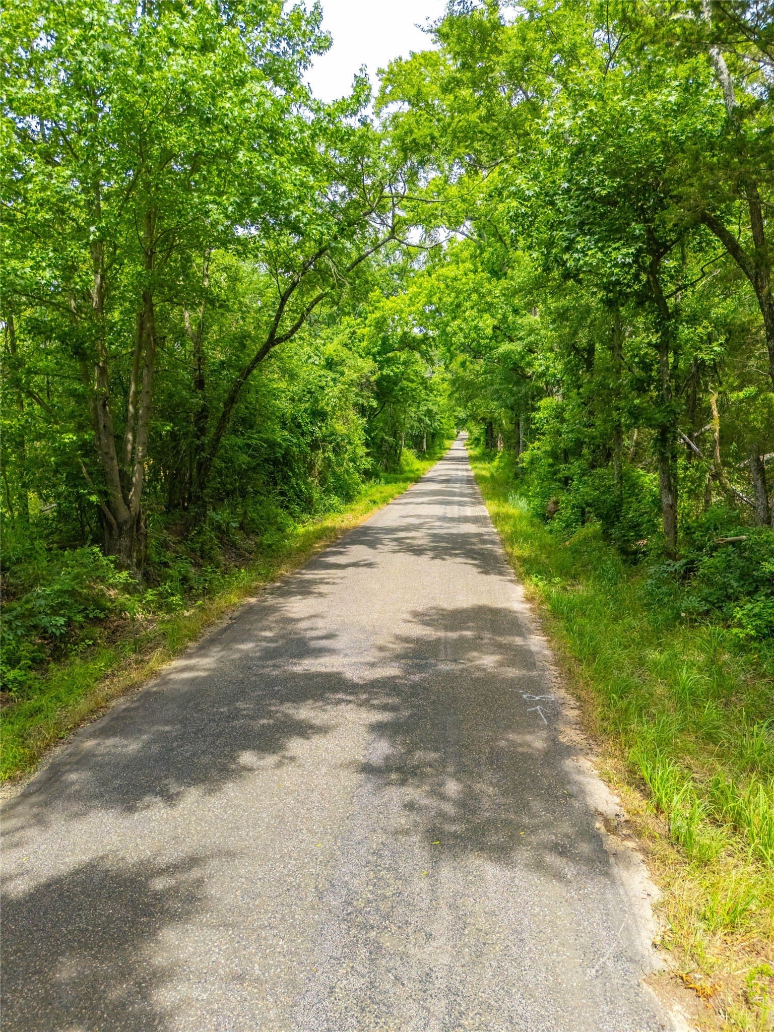 21 acres in Morris County - photo 7
