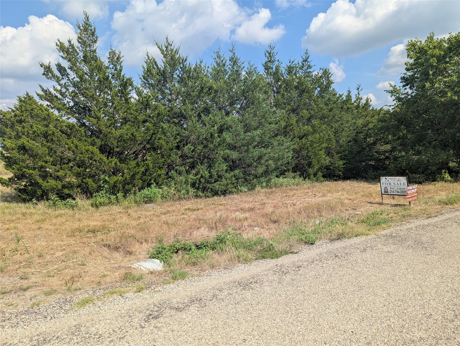 1 acres in Collin County - photo 5
