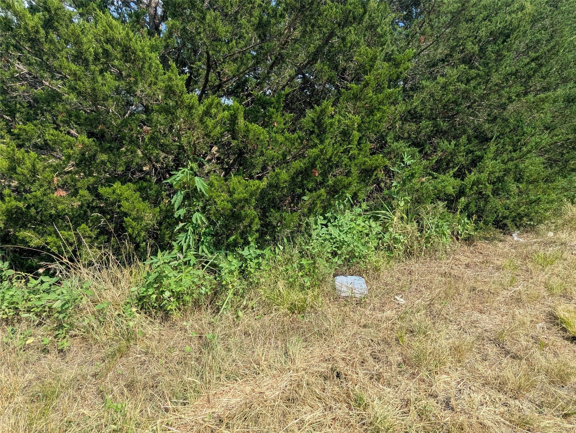 1 acres in Collin County - photo 6