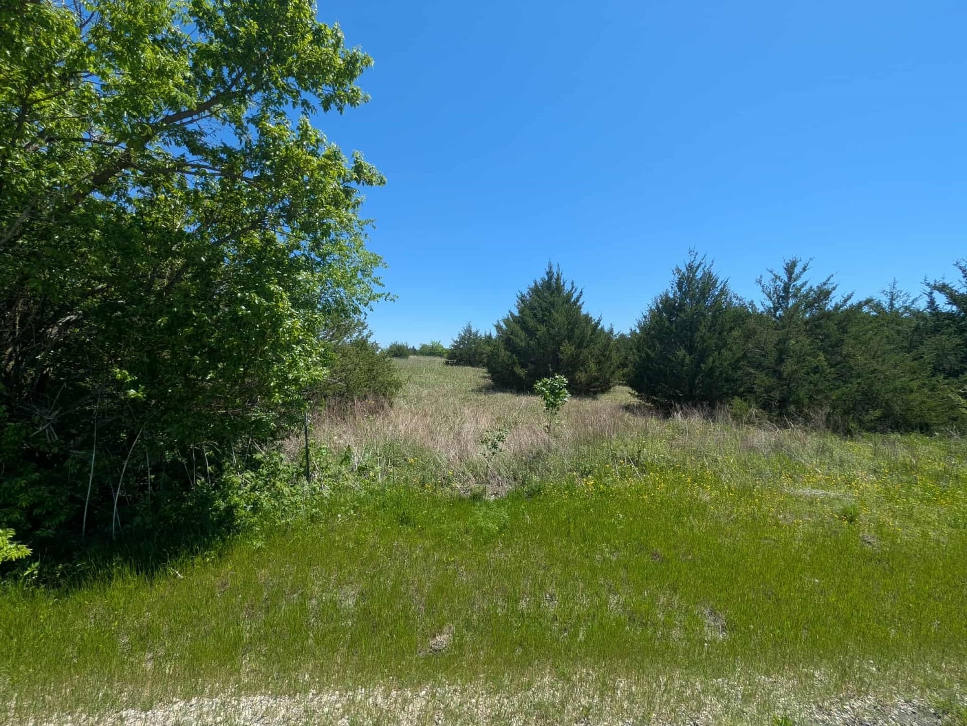 1 acres in Collin County - photo 8