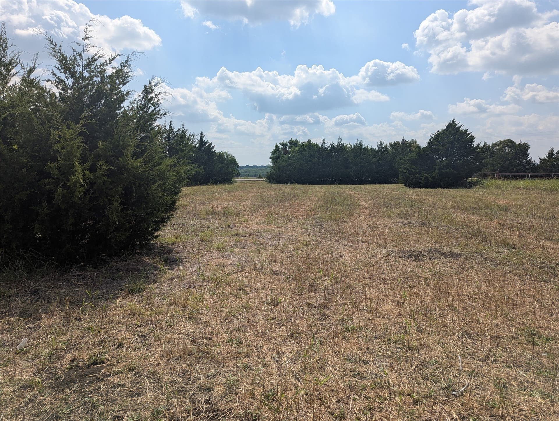 1 acres in Collin County - photo 12