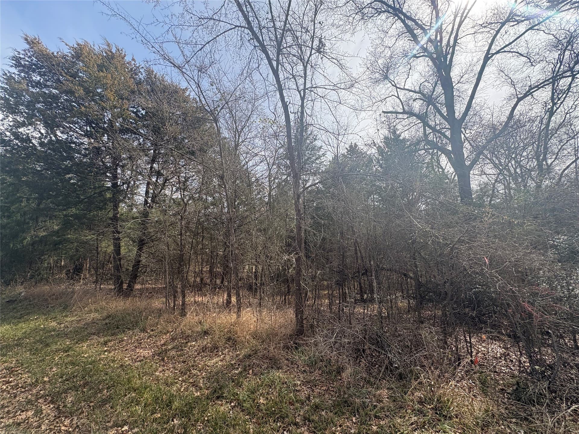 0.11 acres in Henderson County gallery image 3