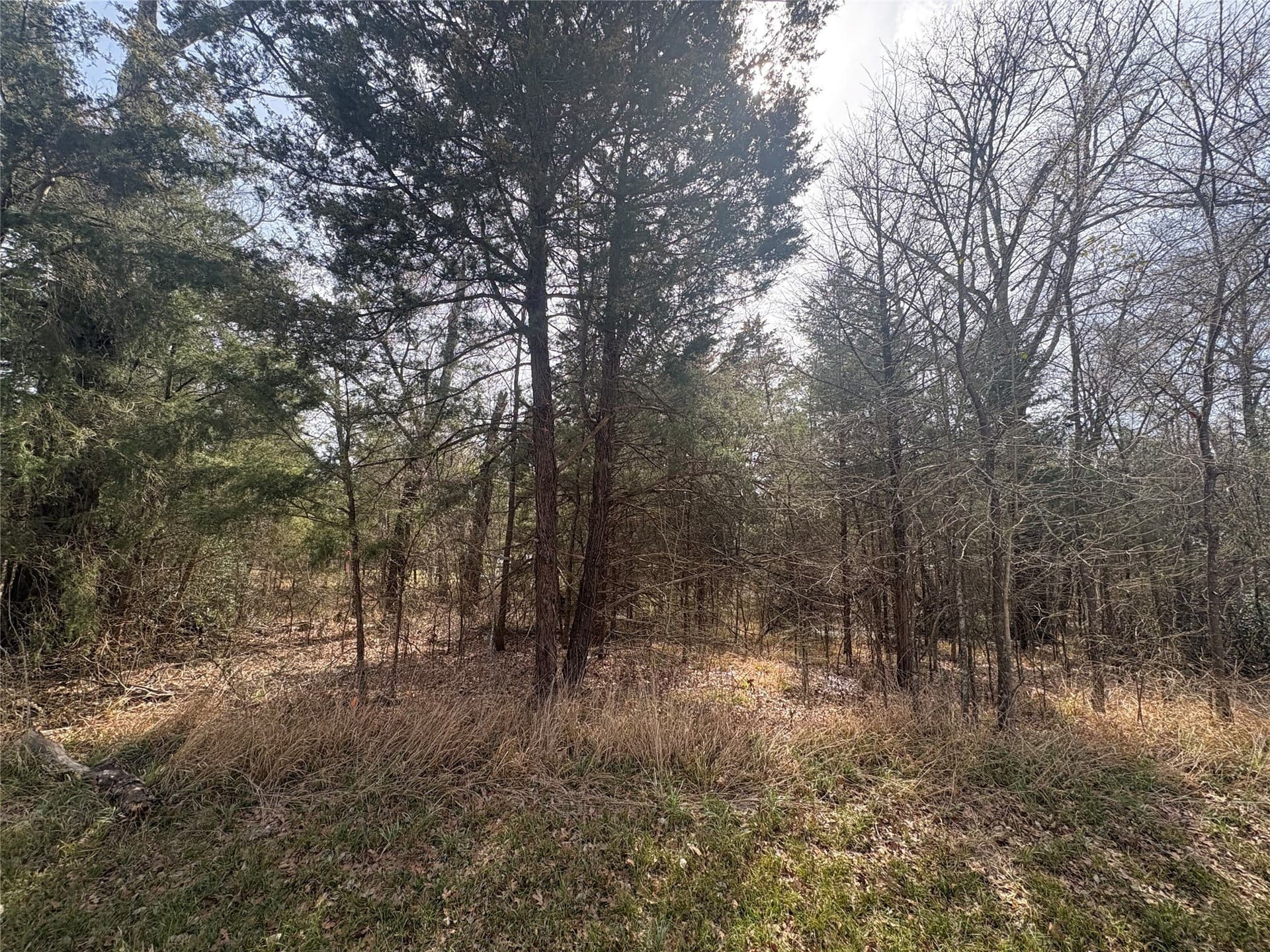 0.11 acres in Henderson County gallery image 2