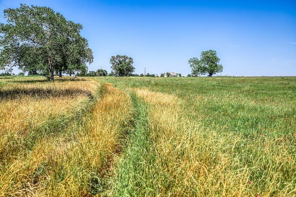 78.84 acres in Washington County - photo 4