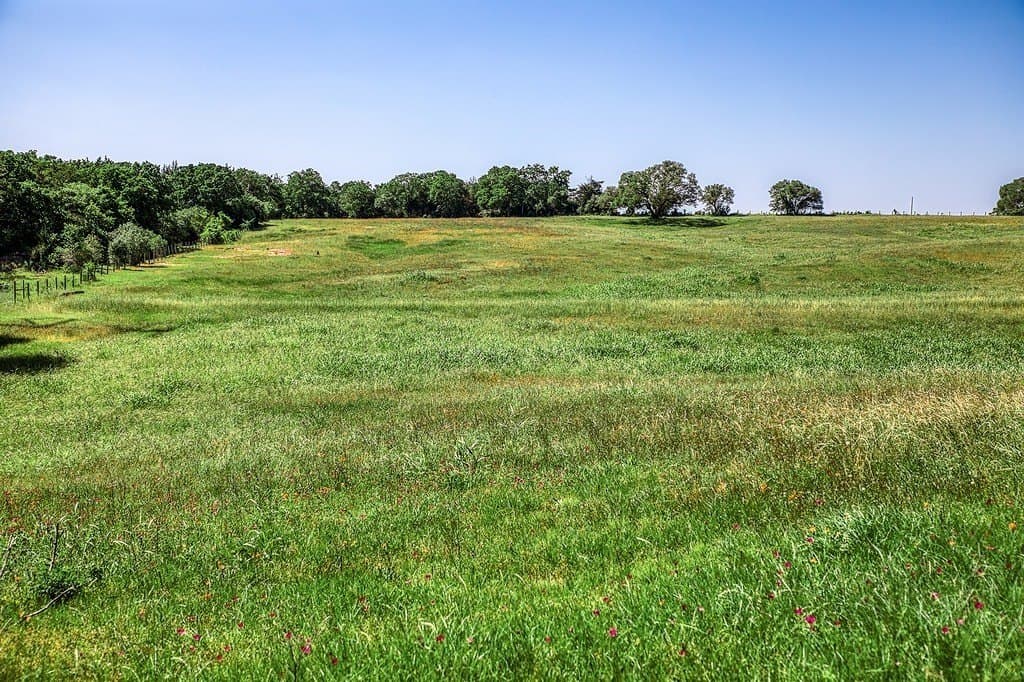 78.84 acres in Washington County - photo 3