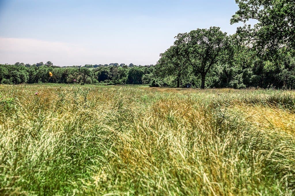 78.84 acres in Washington County - photo 8