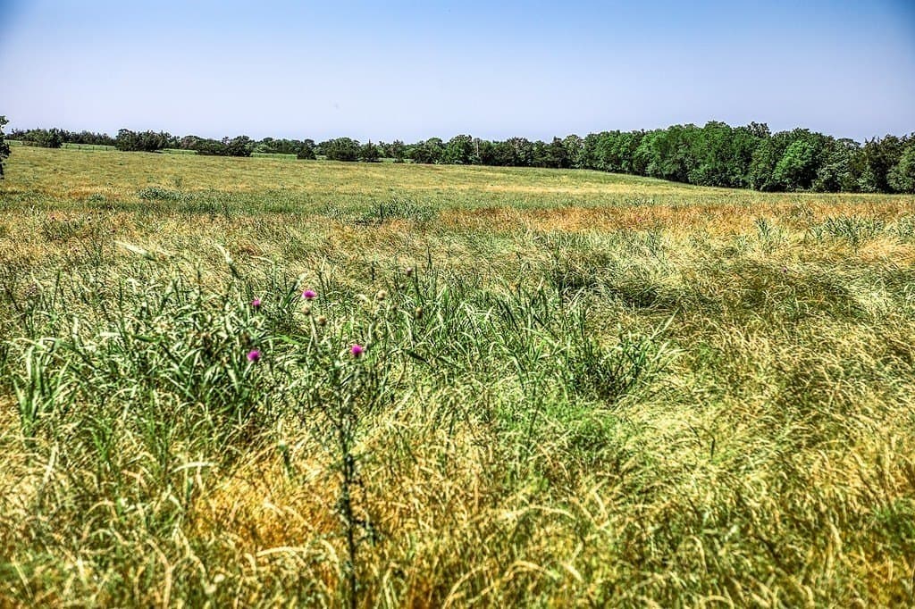 78.84 acres in Washington County - photo 11