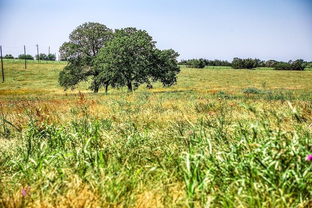 78.84 acres in Washington County - photo 10