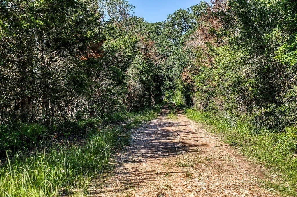 78.84 acres in Washington County - photo 15
