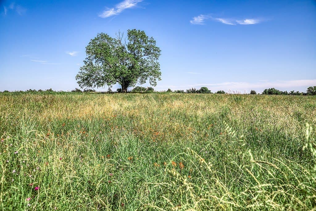 78.84 acres in Washington County - photo 7