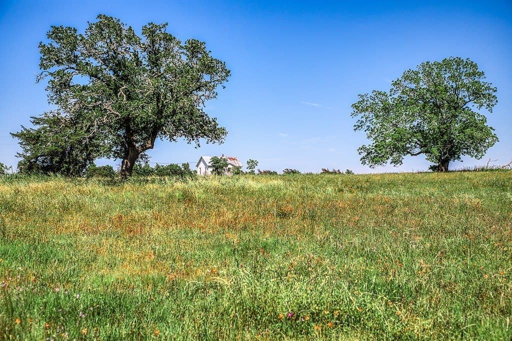 78.84 acres in Washington County - photo 6