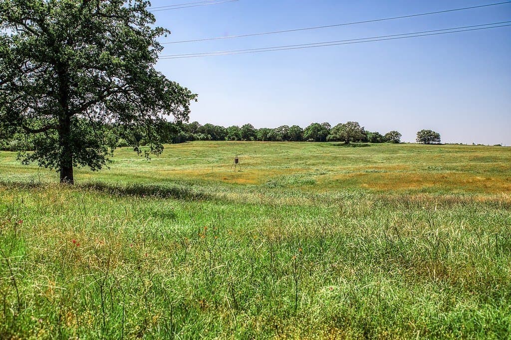 78.84 acres in Washington County - photo 5