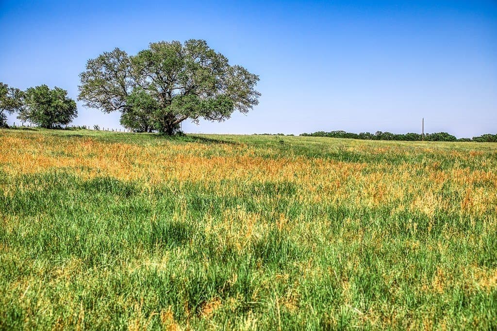 78.84 acres in Washington County - photo 2