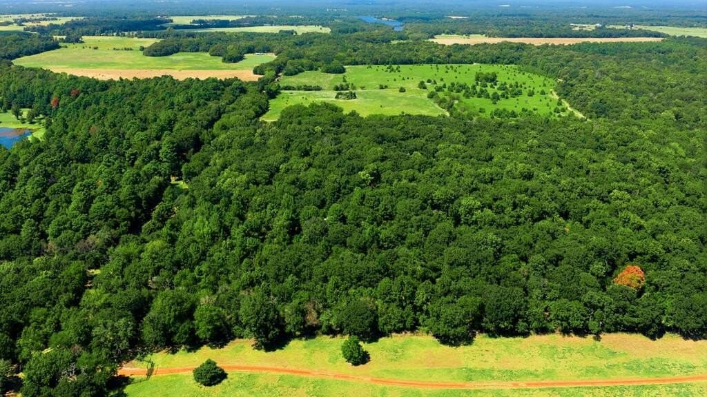19.49 acres in HENDERSON County - photo 4