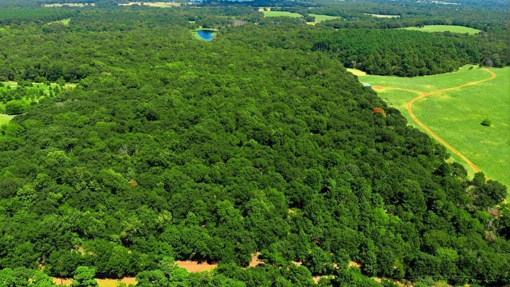 19.49 acres in HENDERSON County - photo 2