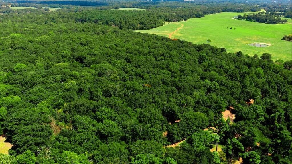 19.49 acres in HENDERSON County - photo 10