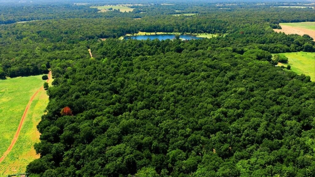 19.49 acres in HENDERSON County - photo 6