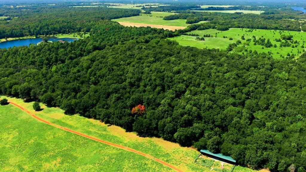 19.49 acres in HENDERSON County - photo 5