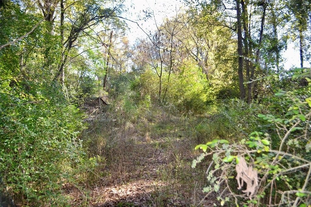 2.41 acres in Harrison County gallery image 2