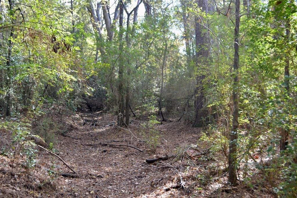 2.41 acres in Harrison County gallery image 4