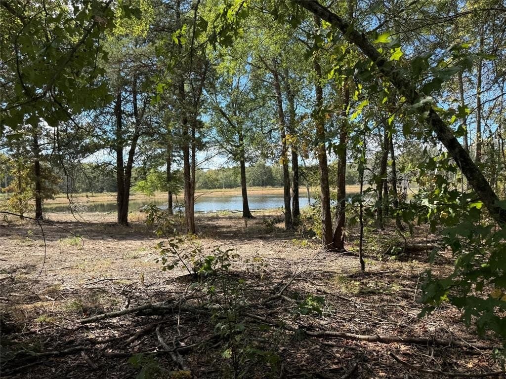 100 acres in Wood County gallery image 4