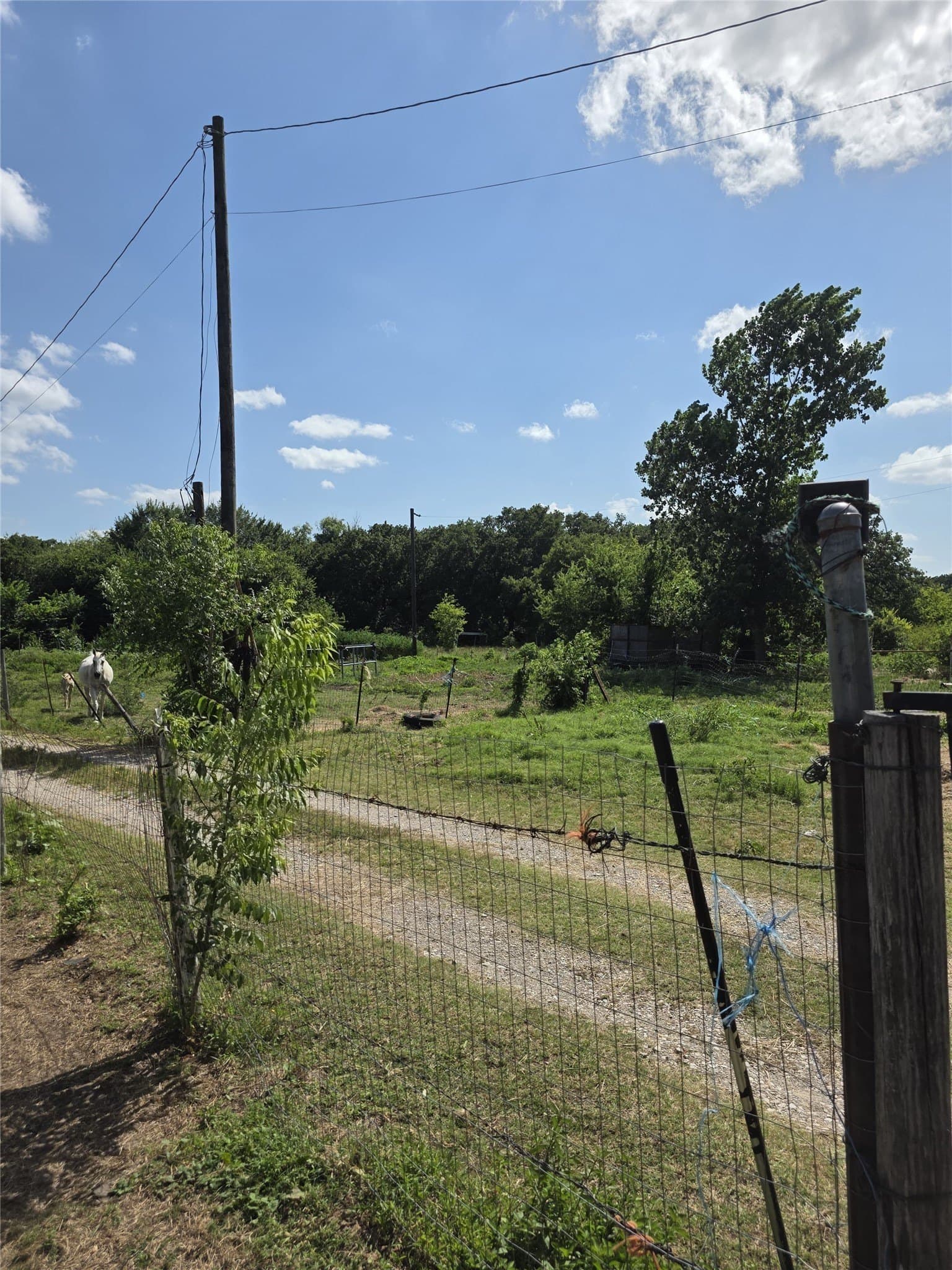 2.71 acres in Hunt County - photo 17