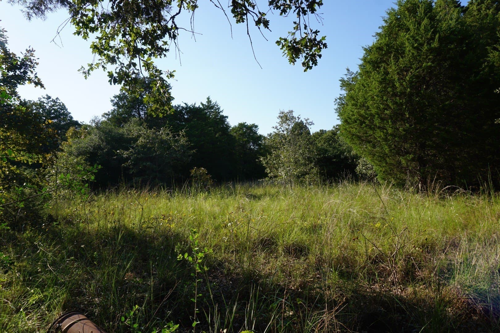 3 acres in Henderson County - photo 15