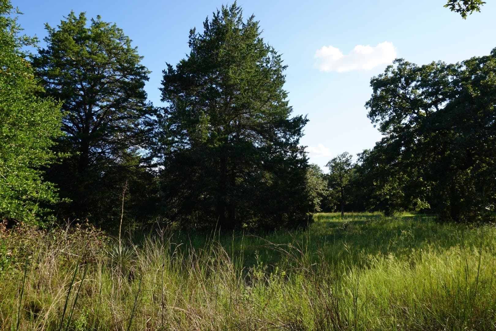 3 acres in Henderson County - photo 27