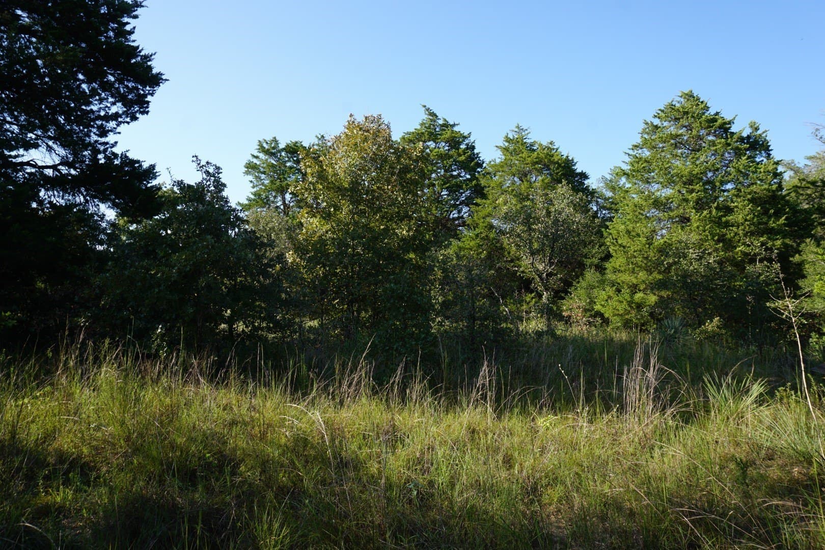 3 acres in Henderson County - photo 10
