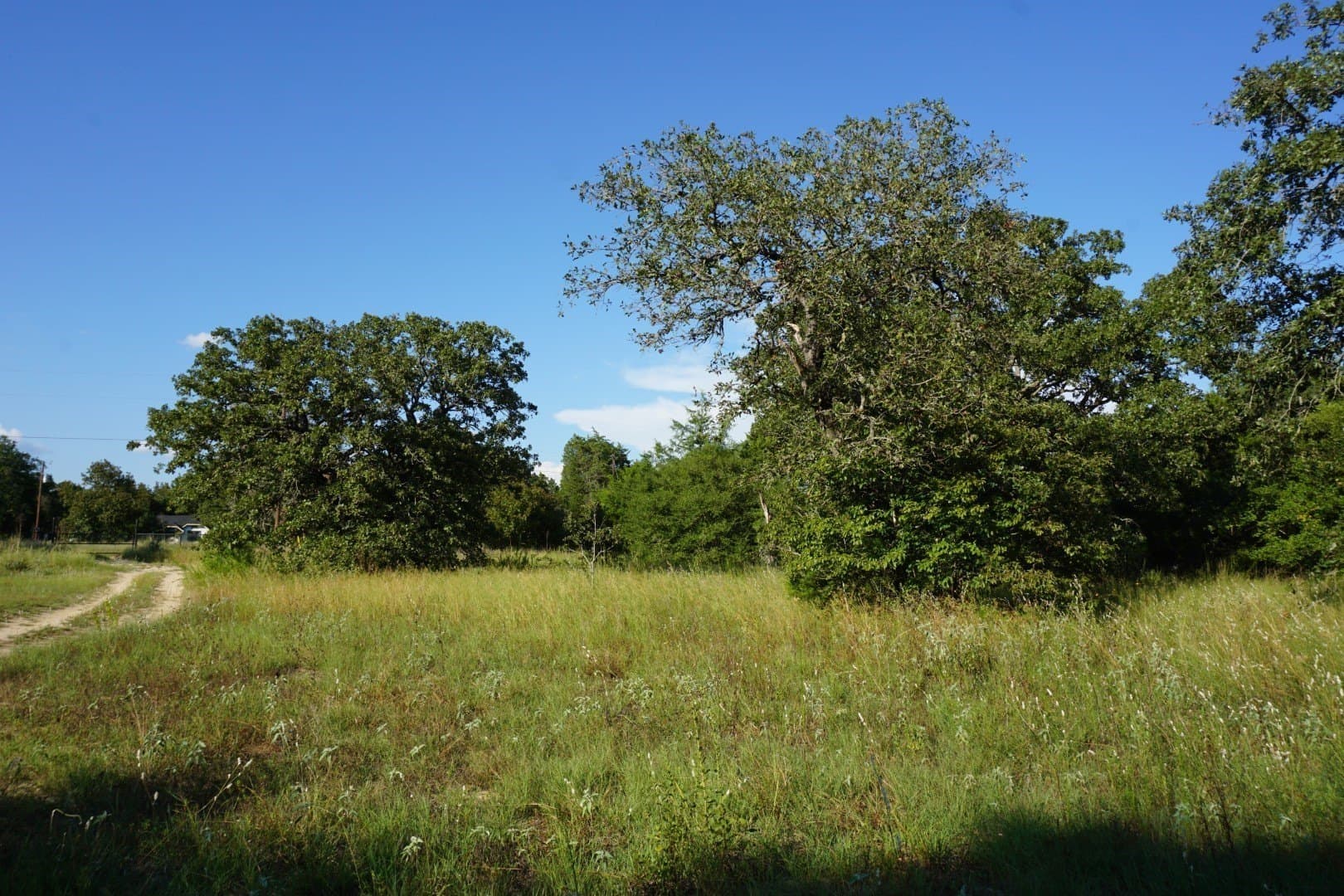 3 acres in Henderson County - photo 5