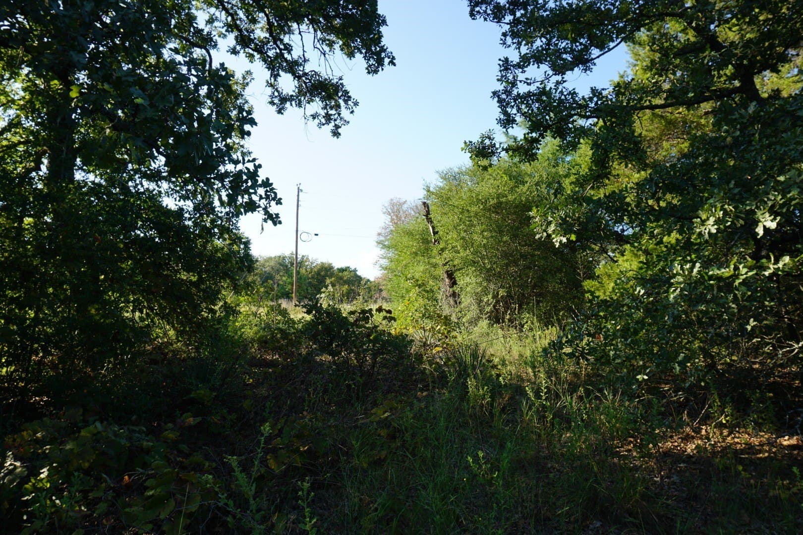 3 acres in Henderson County - photo 28